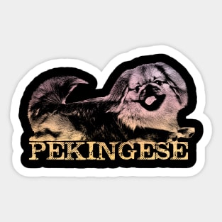 Cute Pekingese dog Sticker